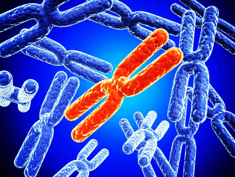 Hội chứng siêu nữ có 3 nhiễm sắc thể X Hội chứng siêu nữ có 3 nhiễm sắc thể X