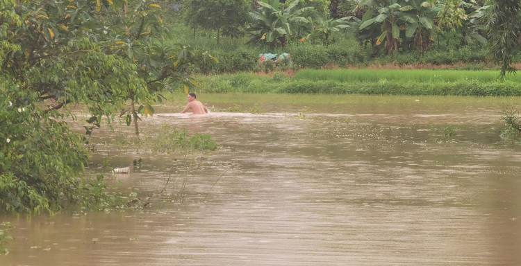 Nước có chỗ sâu tới qua bụng 1 người trưởng thành.