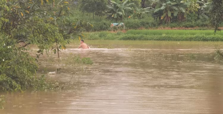 Nước có chỗ sâu tới qua bụng 1 người trưởng thành.