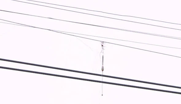 Mất cả chi thể, hoại tử ngực, tổn thương tạng... do câu cá dưới đường điện - Ảnh BVCC