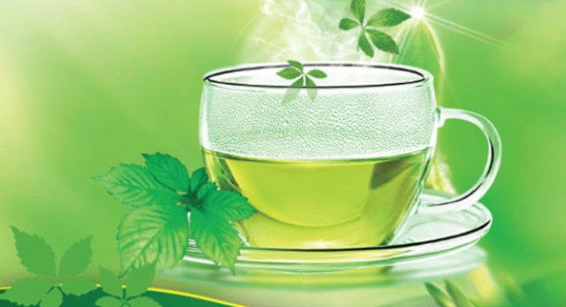 Trà giảo cổ lam - Ảnh minh họa