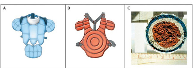 Dụng cụ bảo vệ ngực (hình A, B), cấu trúc xốp của quả bóng chày làm giảm độ cứng (hình C) - Ảnh BSCC