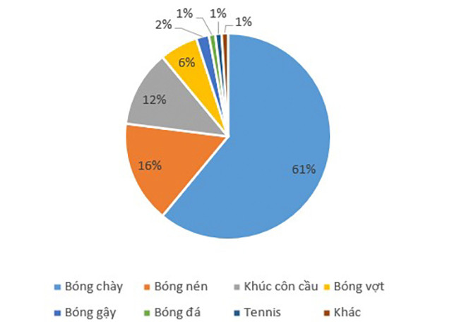 Phân bố các môn thể thao gây Cammotio cordis trên 128 bệnh nhân ở Hoa kỳ - Ảnh BVCC