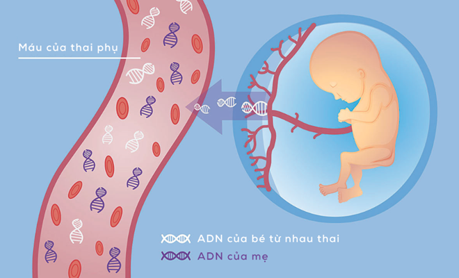 Sàng lọc và chẩn đoán trước sinh tránh sinh con dị tật