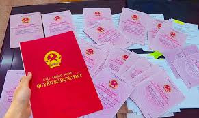 Đất ruộng có được cấp sổ đỏ? ảnh 1