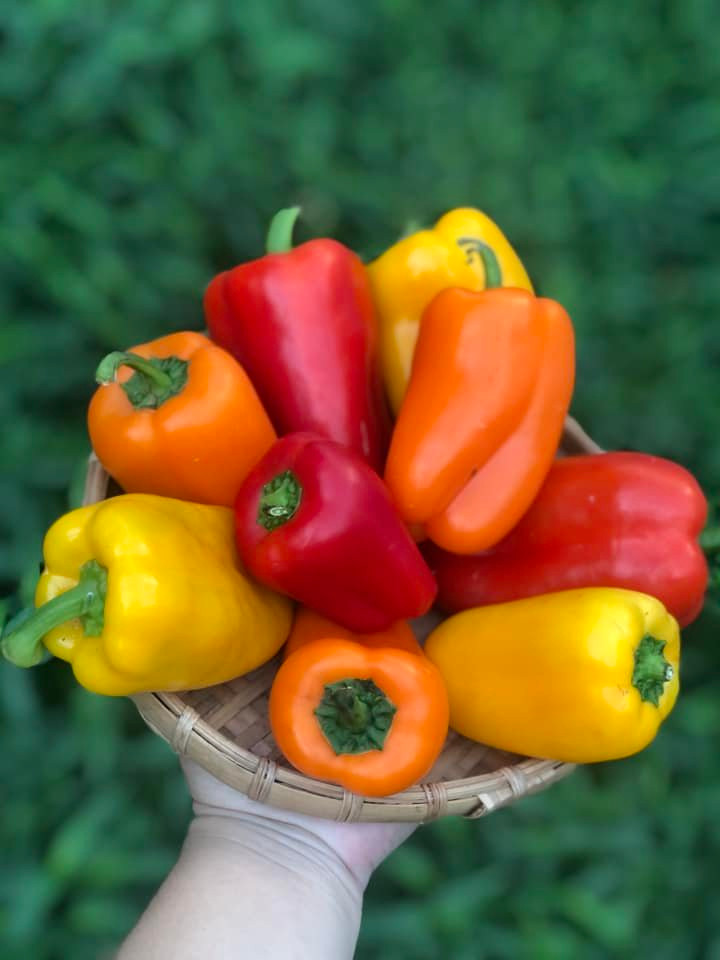 Ăn ớt chuông tươi sống sẽ giữ được nhiều vitamin và dưỡng chất, cũng như là mùi vị.