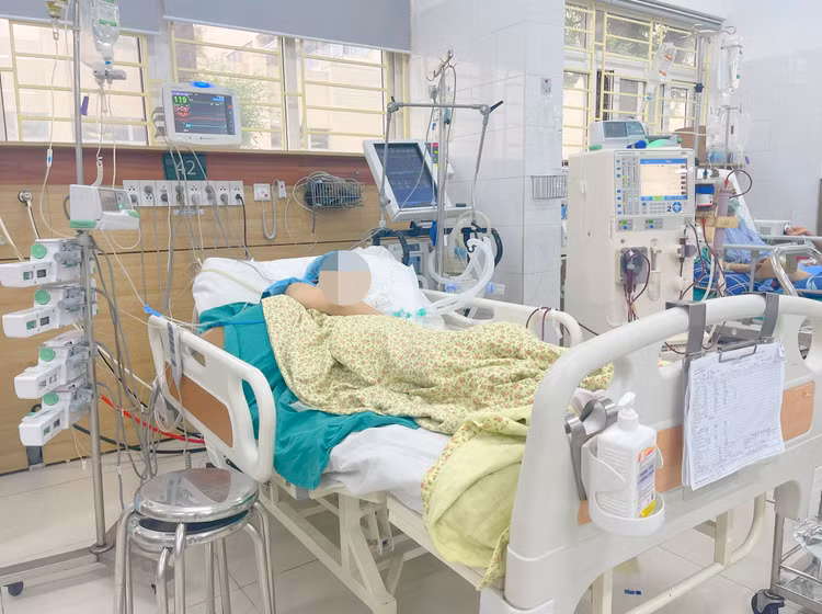 Bệnh nhân hiện đang điều trị tại TT Chống độc - Bệnh viện Bạch Mai