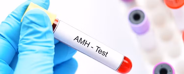 Loại xét nghiệm giúp ước đoán khả năng sinh sản của chị em phụ nữ ảnh 1