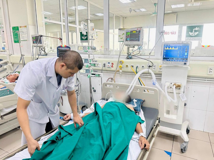 Bệnh nhân bị mèo cắn hôn mê