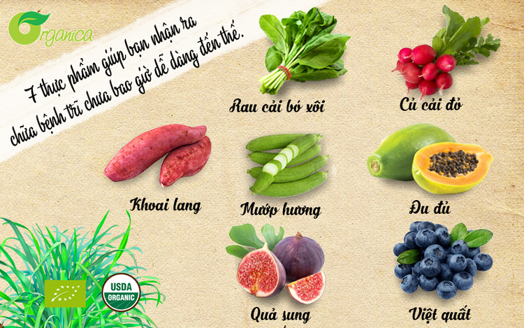 Chuyên gia mách cách ăn, uống để phòng và chữa trĩ ảnh 1