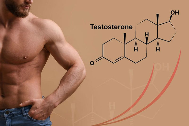 Quý ông sẽ giảm ham muốn khi có nồng độ Testosterone thấp - Ảnh minh họa