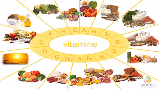Bổ sung vitamin từ thực phẩm an toàn và tốt cho sức khỏe - Ảnh minh họa