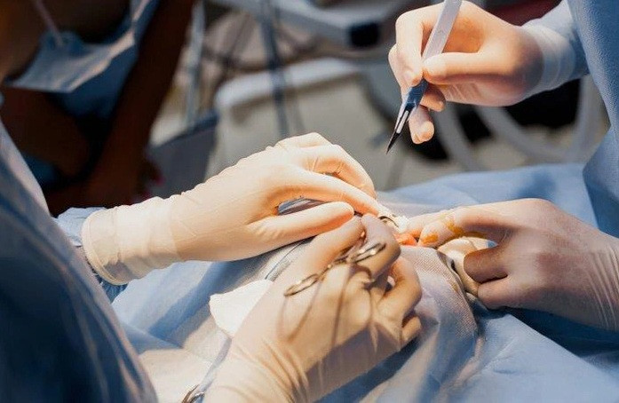 Công ty TNHH Quốc tế Sonia bị đình chỉ hoạt động - Ảnh minh hoạ