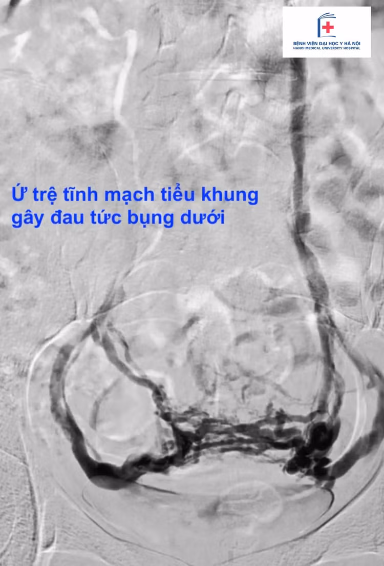 506287183-1189359819902131-6831978309968155435-n.jpg