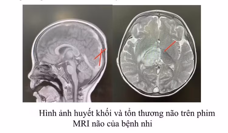 506876350-942567154585017-4700702711508232441-n.jpg