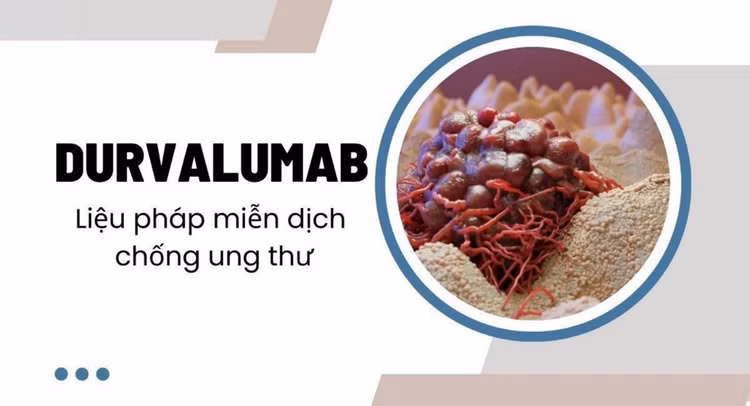 lieu-phap-mien-dich-ung-thu.jpg