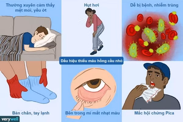 hoi-chung-thieu-mau.jpg