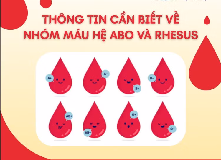 nhom-mau1.jpg