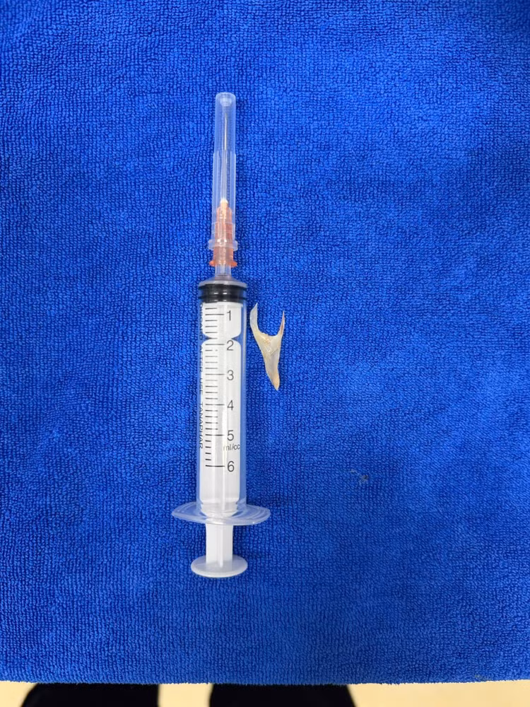 hoc-di-vat-3.jpg