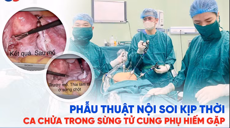 chua-trung.png