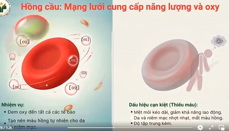 phan-tich-mau-1.jpg
