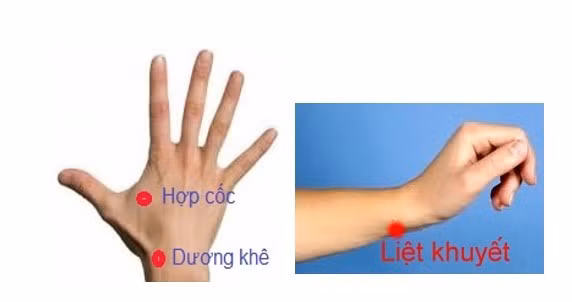 viem-bao-gan2.jpg