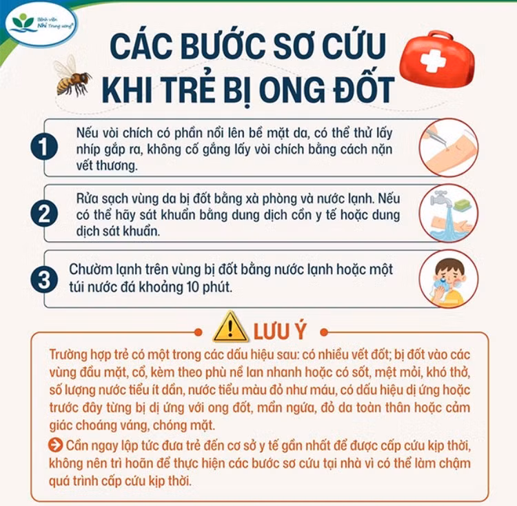 soc-ong-4.jpg