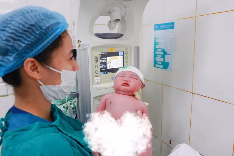 da-oi-608.jpg