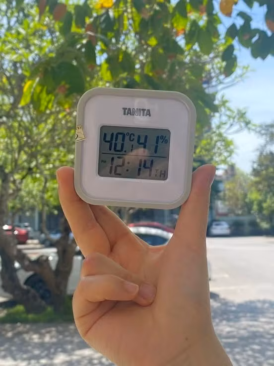 503424519-1243924364410392-3561118466944522111-n.jpg
