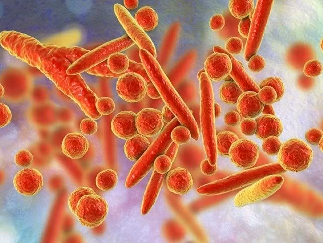 viem-phoi-mycoplasma.jpg