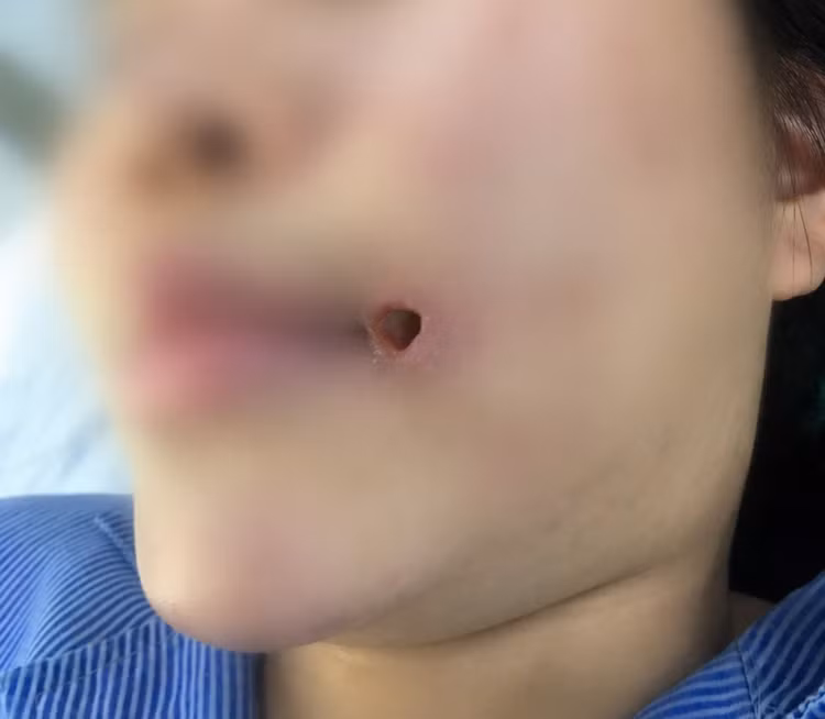 tiem-file-3972.jpg