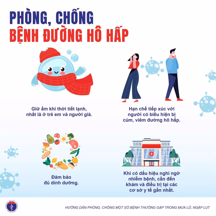 mua-lut-bao-lu-6.jpg