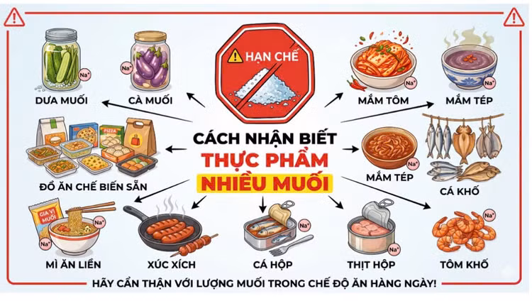 xo-gan.jpg