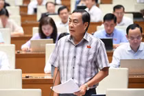 Bỏ án tử hình... nhìn từ vụ Trương Mỹ Lan