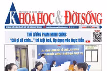 KHOA HỌC VÀ ĐỜI SỐNG SỐ 28 - 10/7/2025