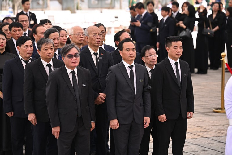 Ủy viên Đoàn Chủ tịch Liên hiệp Hội Việt Nam khóa VIII gồm ông Lê Trần Bình, Chủ tịch Hội các ngành sinh học Việt Nam; ông Đặng Việt Dũng, Chủ tịch Tổng hội Xây dựng Việt Nam; Nguyễn Đắc Đồng; Chủ tịch Tổng hội Địa chất Việt Nam; ông Trần Đức Lai, Chủ tịch Hội vô tuyến điện tử Việt Nam; Lê Công Lương, Phó Tổng thư ký Liên hiệp Hội Việt Nam; ông Trần Công Phàn, Phó Chủ tịch Hội Luật gia Việt Nam; bà Nguyễn Thị Ngọc Thanh, Phó Chủ tịch Liên hiệp các Hội Khoa học và Kỹ thuật TP Hà Nội; ông Đặng Văn Thanh, Ủy viên ĐTC Liên hiệp Hội Việt Nam; ông Lê Xuân Thảo, Quỹ hỗ trợ sáng tạo kỹ thuật Việt Nam; ông Trương Mạnh Tiến, Tổng biên tập Tạp chí Kinh tế Môi trường; ông Nguyễn Anh Trí, Chủ tịch Hội Huyết học và Truyền máu Việt Nam; Nguyễn Thị Xuyên, Chủ tịch Tổng hội Y học Việt Nam.