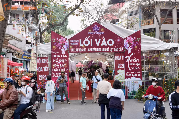 UBND phường Hoàn Kiếm cũng thành lập tổ kiểm tra liên ngành nhằm giám sát hoạt động kinh doanh, đảm bảo an toàn thực phẩm, vệ sinh môi trường, trật tự đô thị và an ninh trật tự cho người dân và du khách.