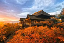 Khách Việt nhộn nhịp săn tour xuất ngoại ngắm lá đổi màu