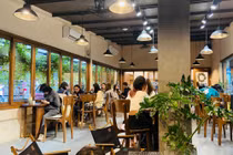 Thách thức của chủ quán cà phê mùa nắng nóng ở Hà Nội
