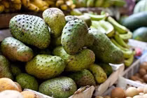 Đa dạng chế biến giúp mãng cầu gai miền Tây bứt phá doanh thu