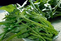 Rau muống xuất ngoại thành đặc sản đắt đỏ