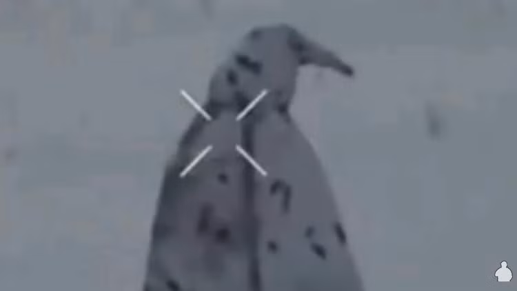 10-5604.png