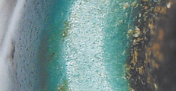 7.png
