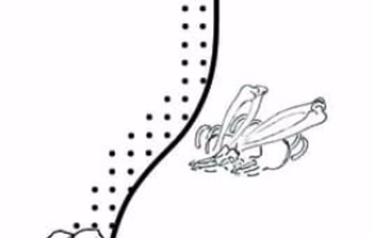 7-9397.png
