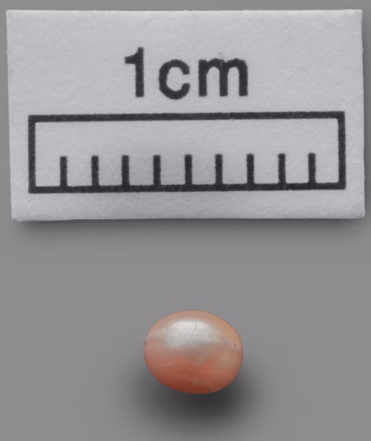 4-6243.jpg