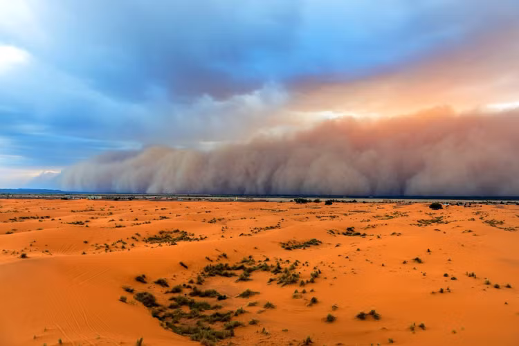 bui-sahara.jpg