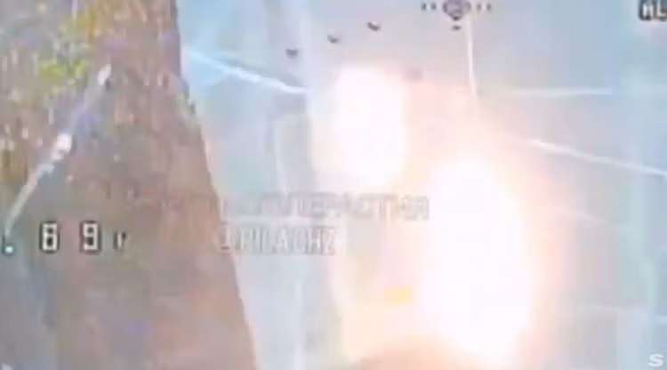 8.png