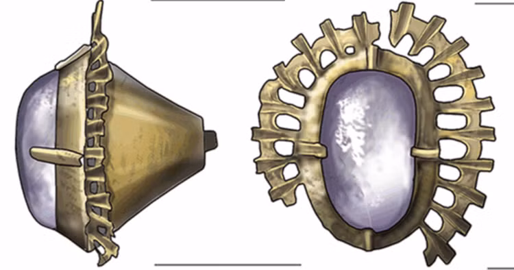 8-1192.png