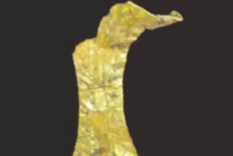 5-4353.png