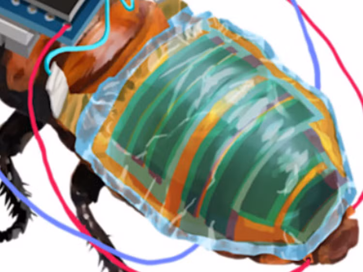 8-9496.png
